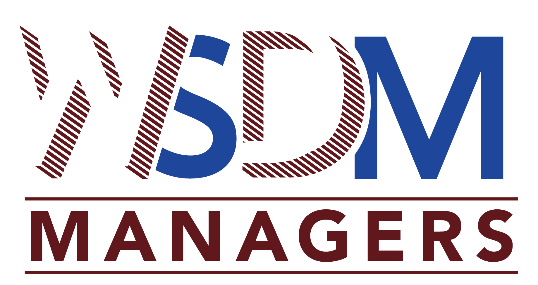 WSDM Logo